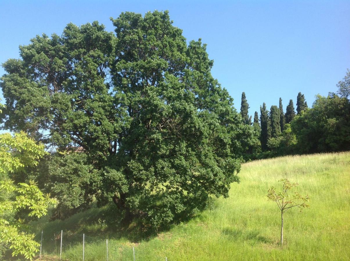 B&B Smile Fiorano Modenese Esterno foto